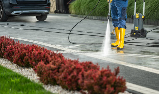 Best Sidewalk and Walkway Cleaning  in Edwards, MS